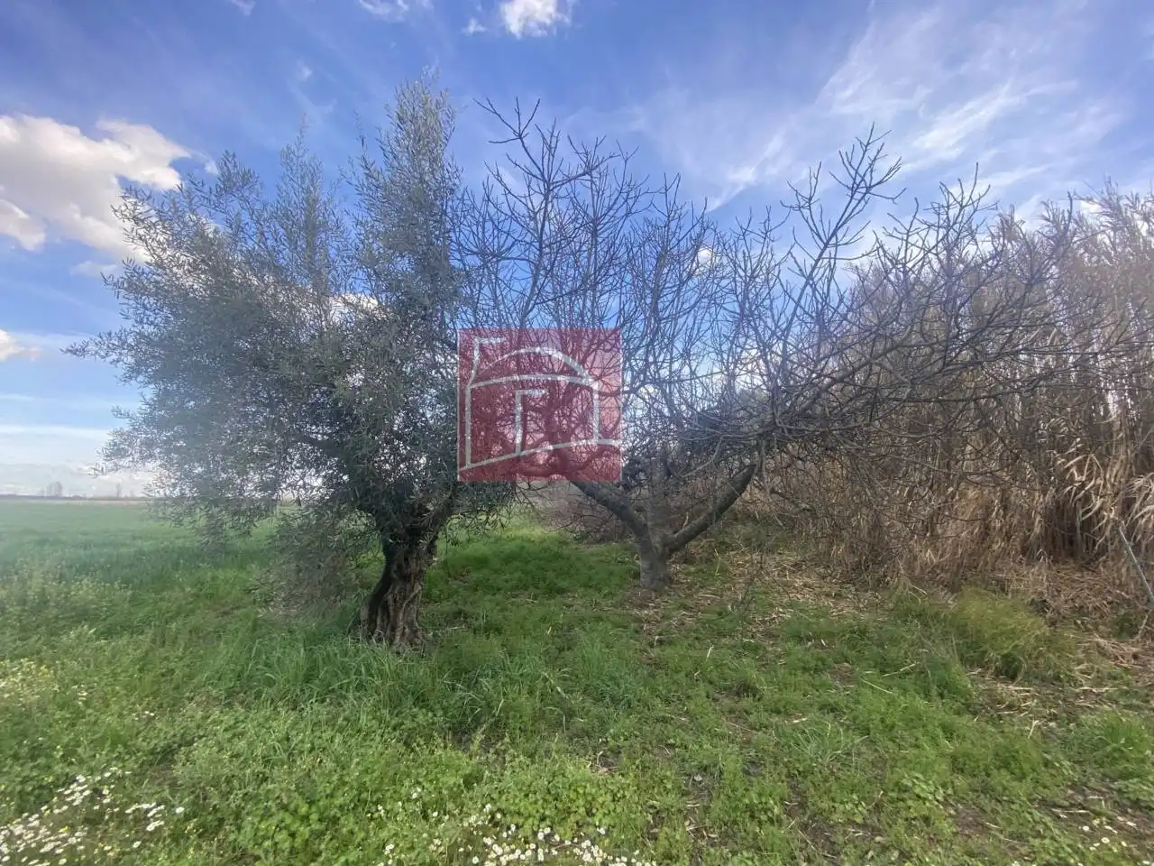 Terreni e lotti in vendita a Villanueva de la Serena, imagen 9