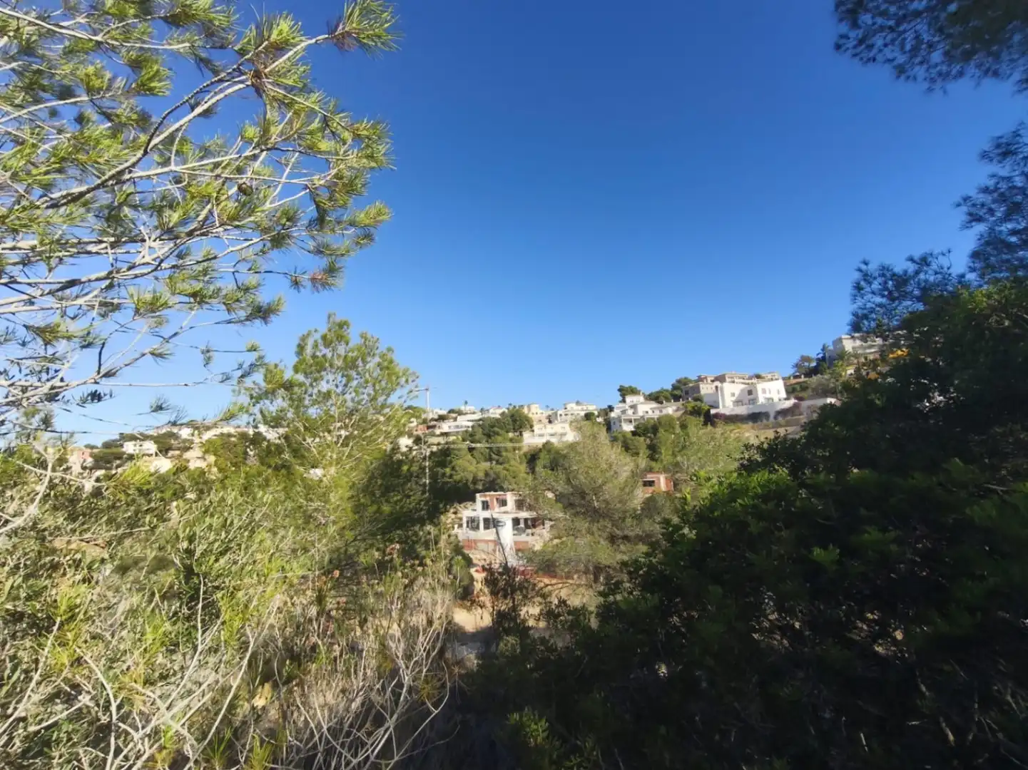 Terreny residencial en venda a Teulada, imagen 5