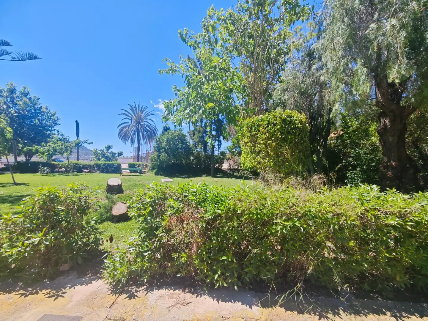 Jardí de Casa o xalet en venda en Cartagena amb Jardí privat, Terrassa i Moblat