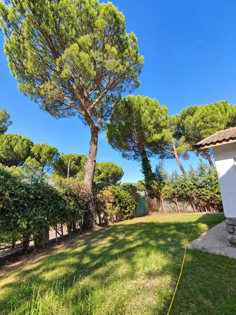 Garden of Houses for sale in Maello, Ávila
