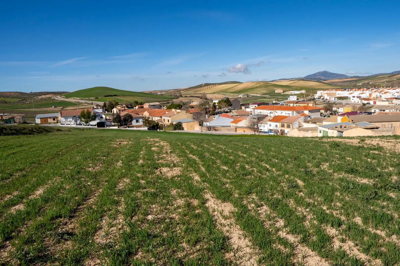 Residential zum Verkauf in Guadahortuna