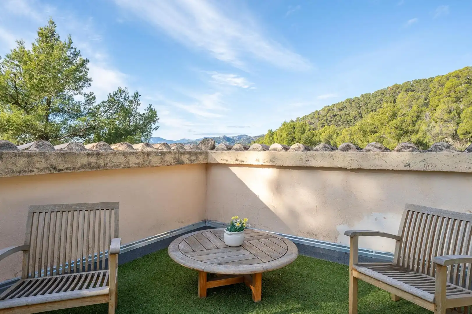 Country house with garden for sale in Passeig Antoni Estarellas, imagen 37