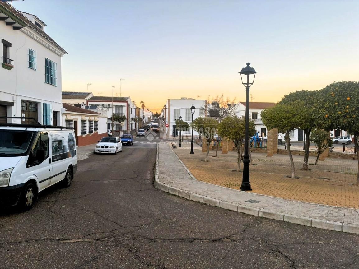 Exterior view of Industrial land for sale in Pilas