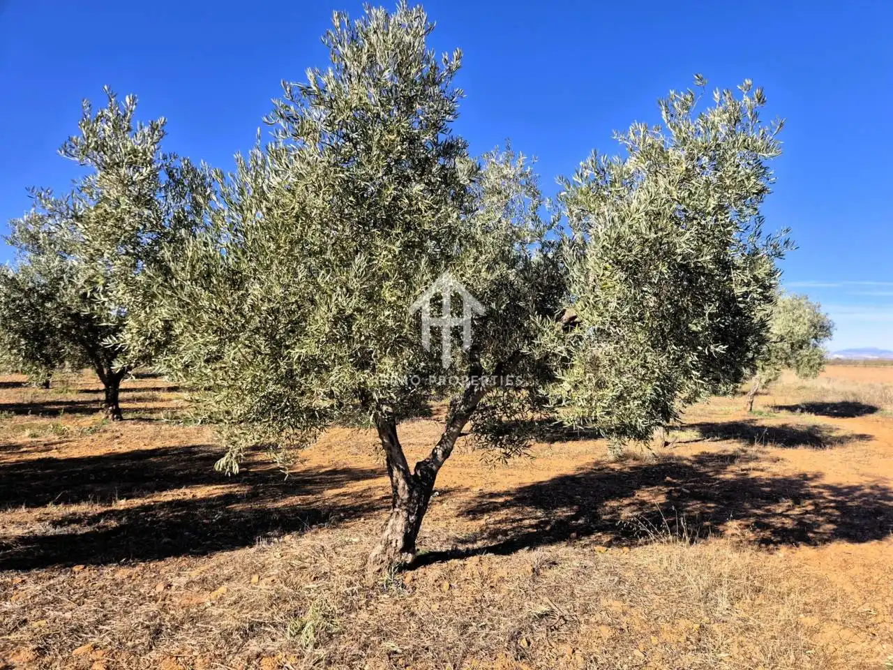 Lands and plots for sale in Lanteira, imagen 59