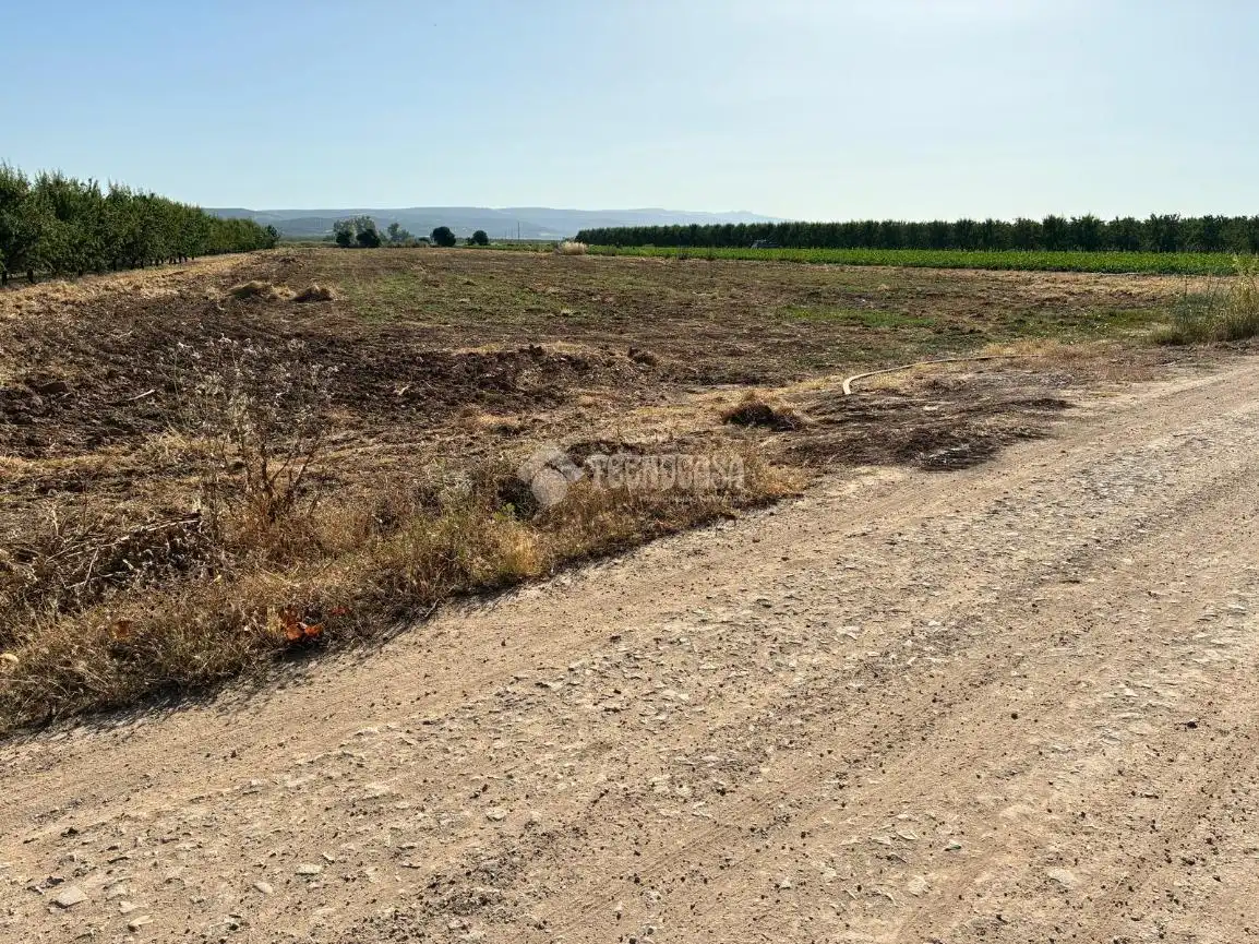 Habitatge amb terrassa en venda a Villatorres, imagen 33