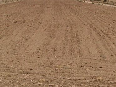 Terreno rustico in vendita a Jumilla