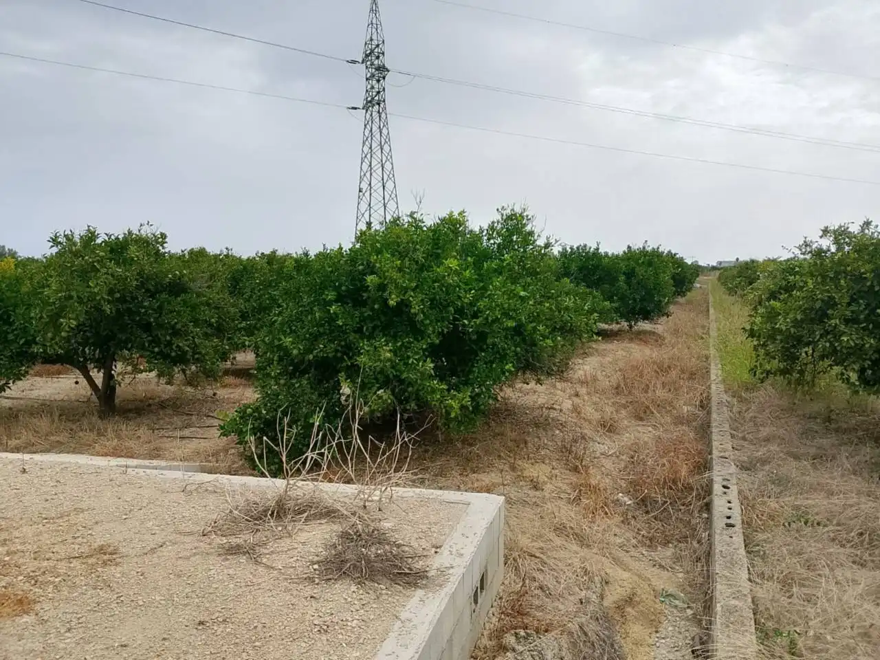 Terreny rústic en venda a Carretera Nazaret a Oliva 670, imagen 6