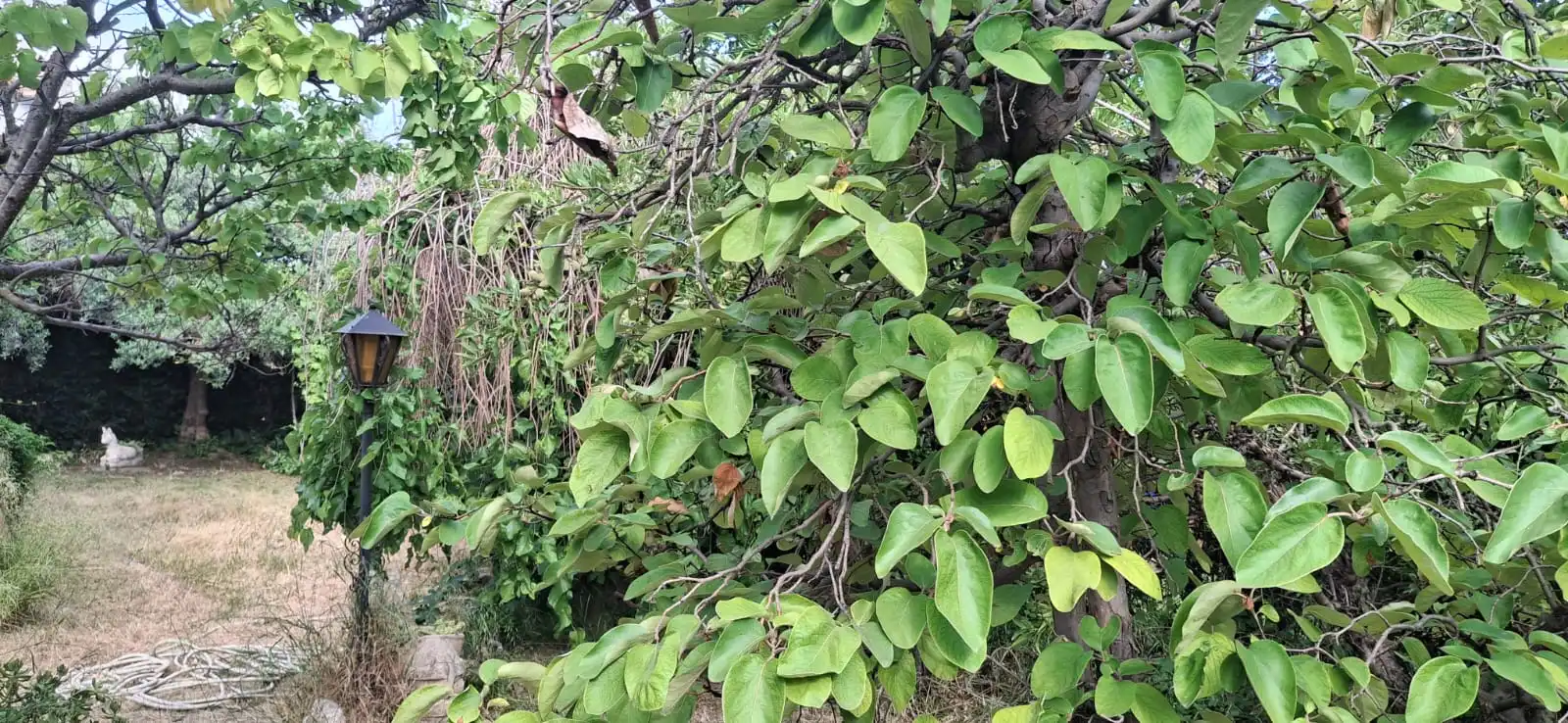 Jardí de Casa o xalet en venda en Cadrete amb Calefacció, Jardí privat i Terrassa