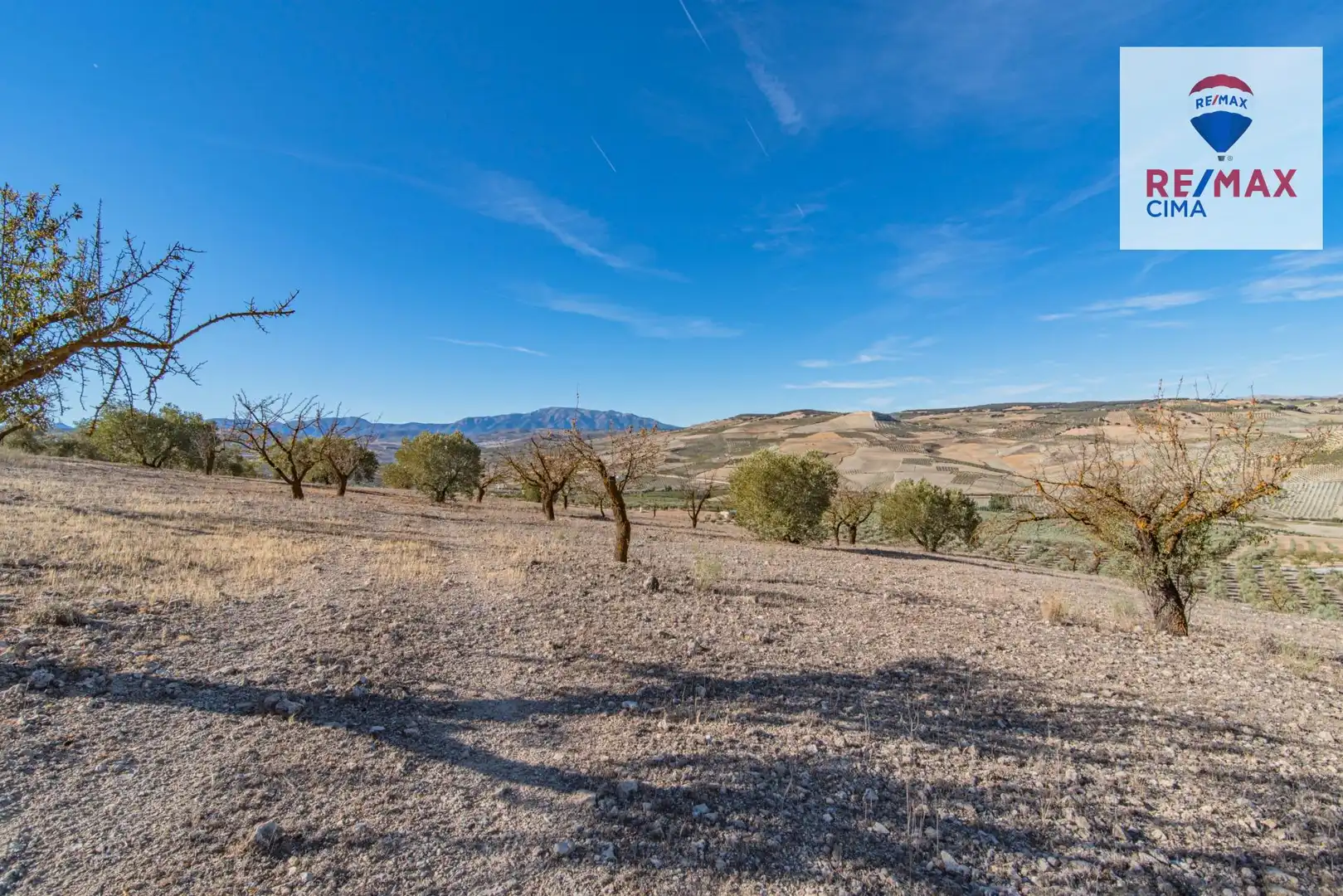 Terreno en venta en Santa Cruz del Comercio