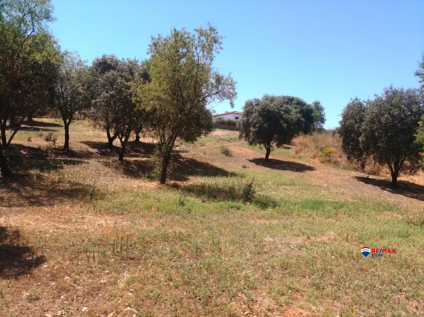 Terreno residencial en venta en Carretera de Sevilla - Los Montitos, imagen 6