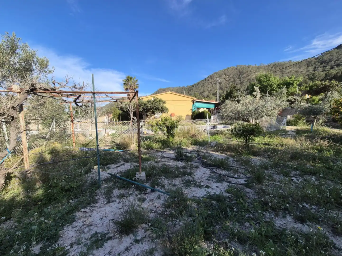 Casa o xalet en venda en Càrcer amb Terrassa