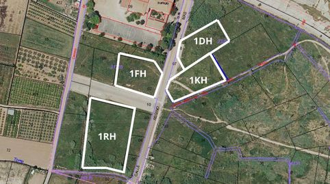 Cuatro Terrenos Rústicos Agrarios en Benifaió, Valencia  Oportunidad Única, immagine 3