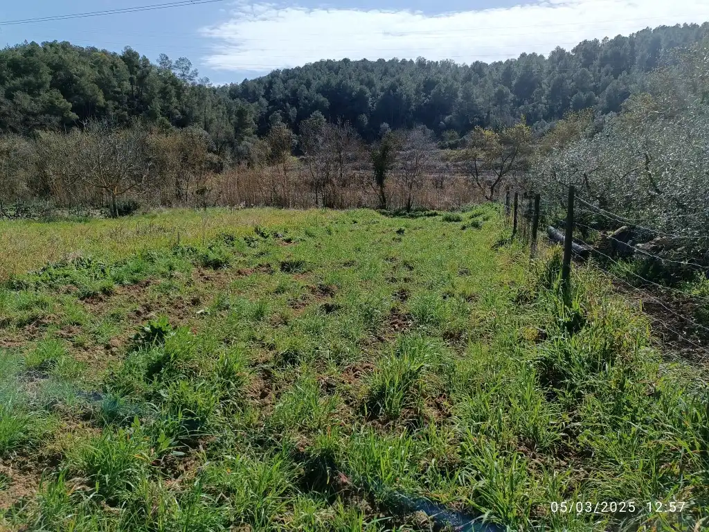 Rustikales Grundstück zum Verkauf in Sant Julià, imagen 3