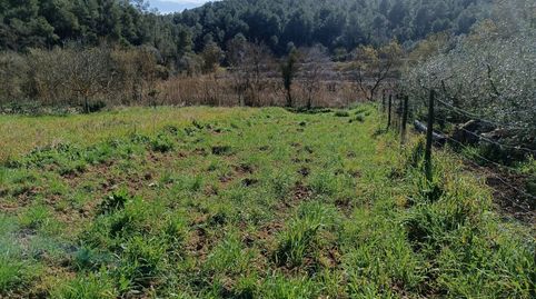 Foto 3 de Terreno en venta en Sant Julià, Vilafranca del Penedès