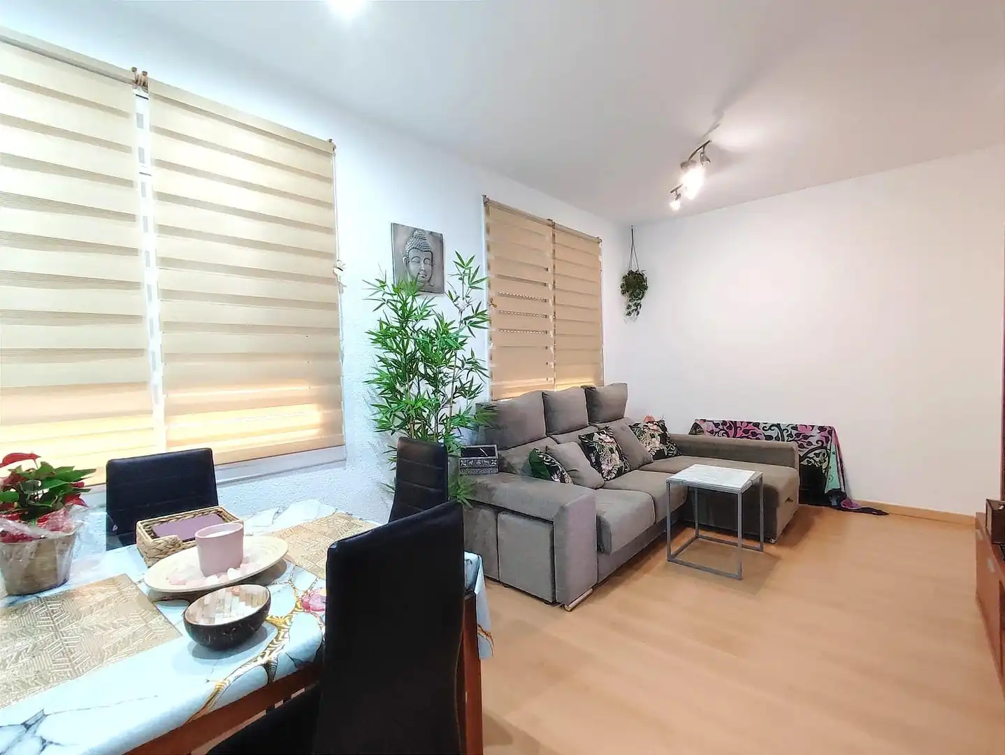 Sala d'estar de Pis en venda en Calella amb Aire condicionat i Parquet