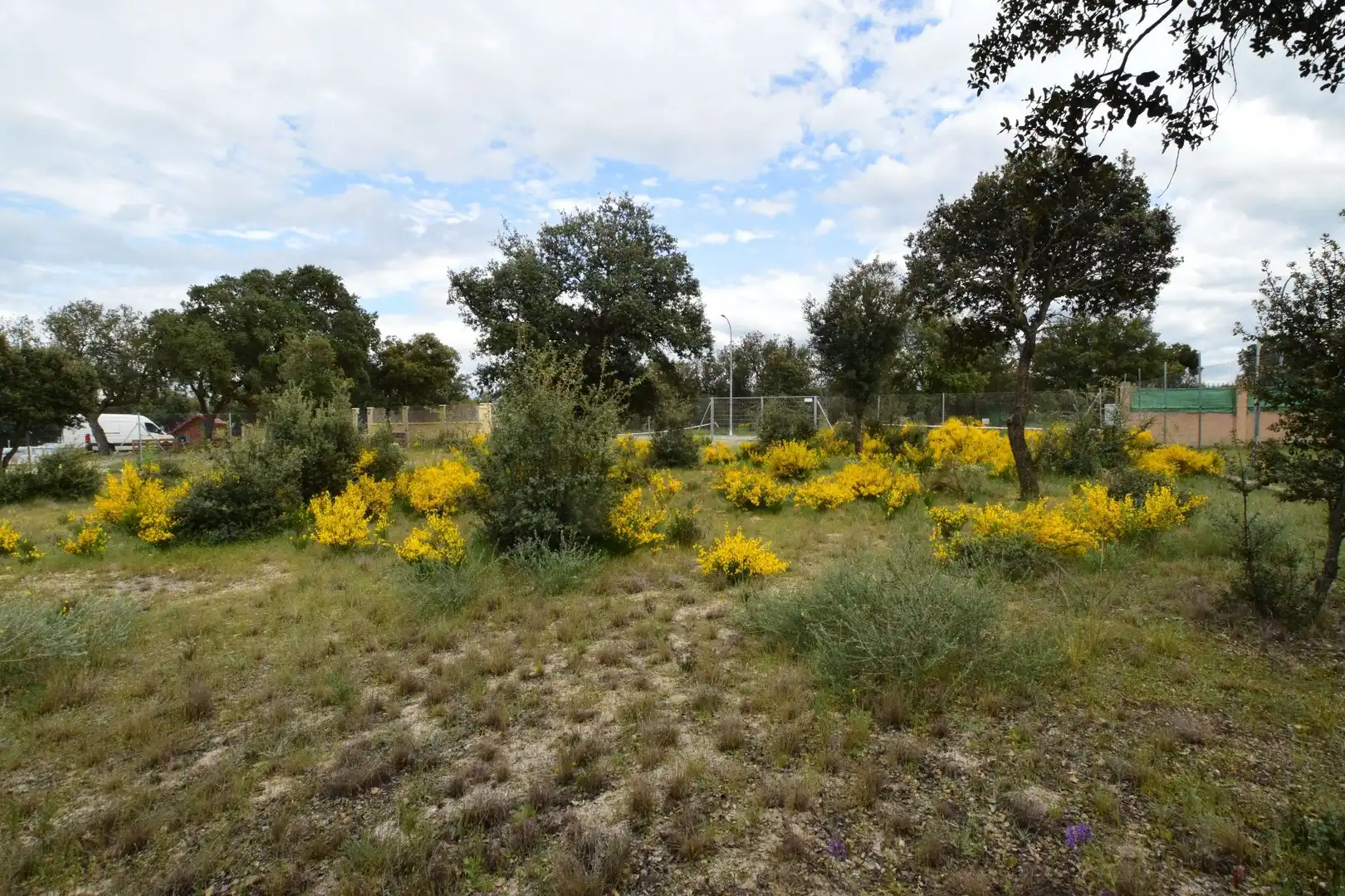 Residential for sale in Maello