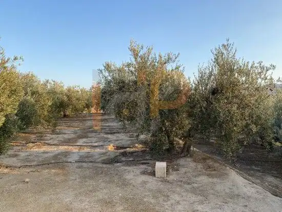 Terrenys i solars en venda a Huércal-Overa, imagen 4