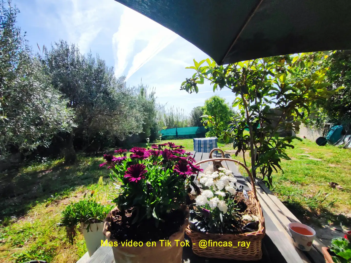 Terreno residenziale in vendita a Torrelles de Foix, imagen 30