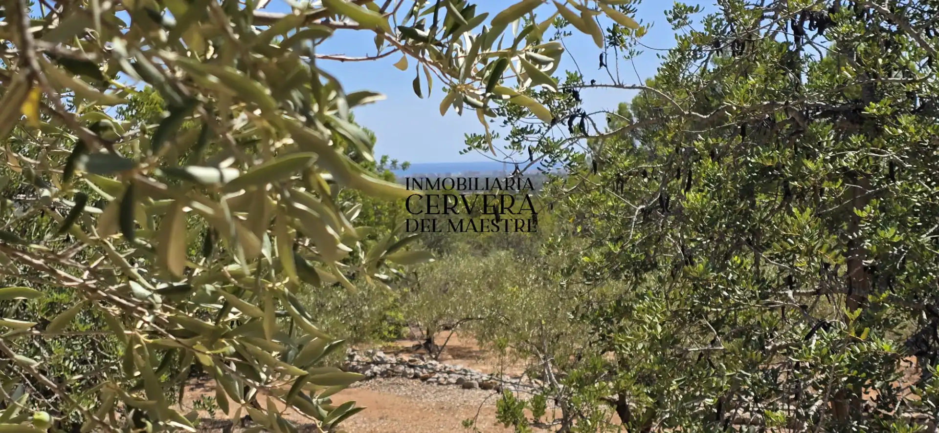 Rural land for sale in Vía Po Polígono 17 60, imagen 34