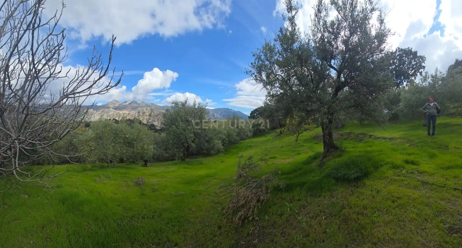 Terreno rustico in vendita a Polígono 11 Parcela 108 EL CERRILLAR. LOS GUAJARES (GRANADA), imagen 2
