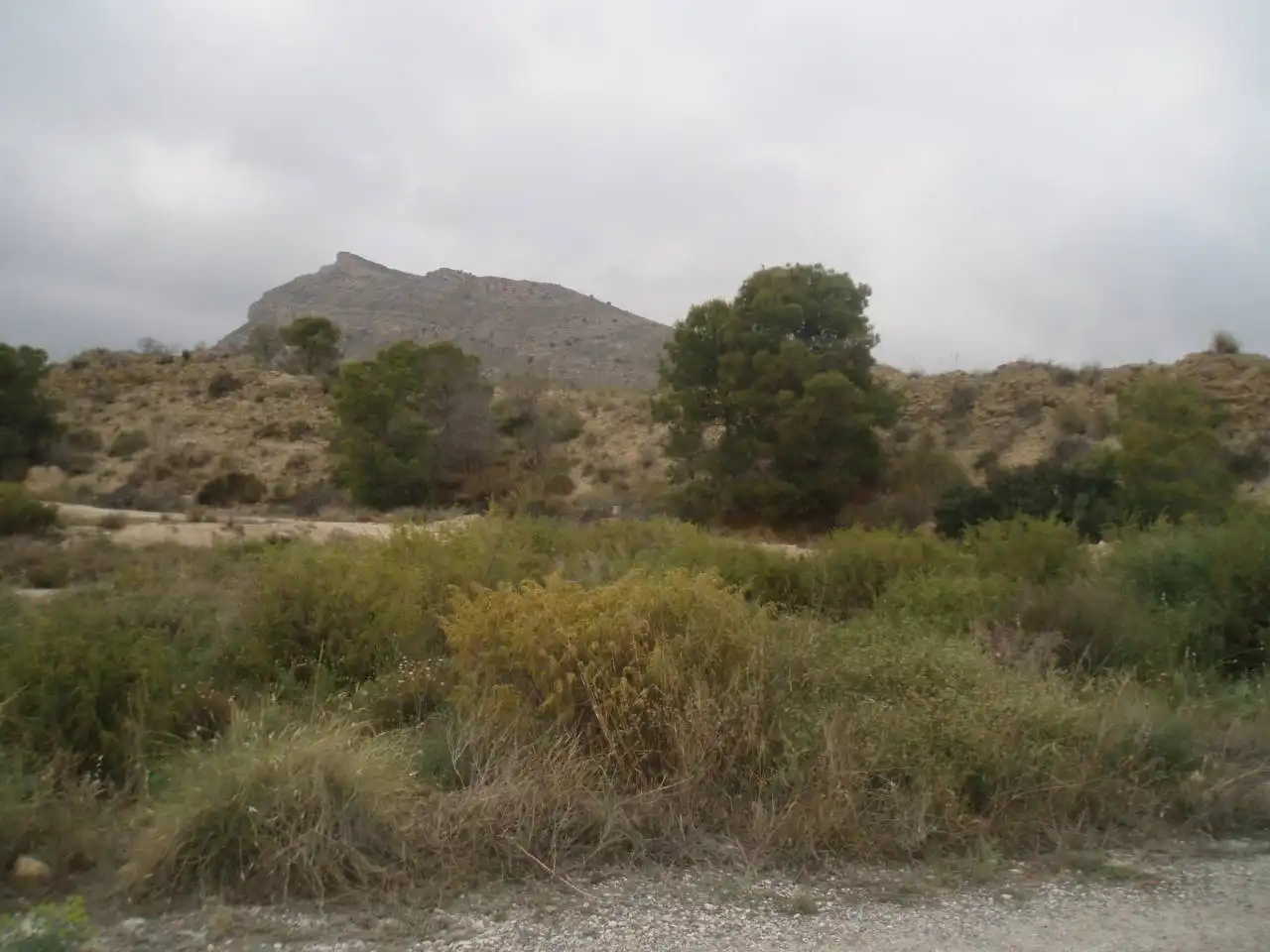 Terreny residencial en venda a Villamontes - Boqueres, imagen 9