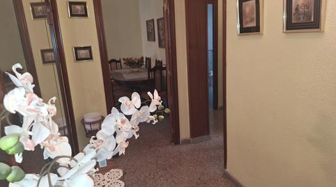 Foto 3 de Piso en venta en Norte, Alicante