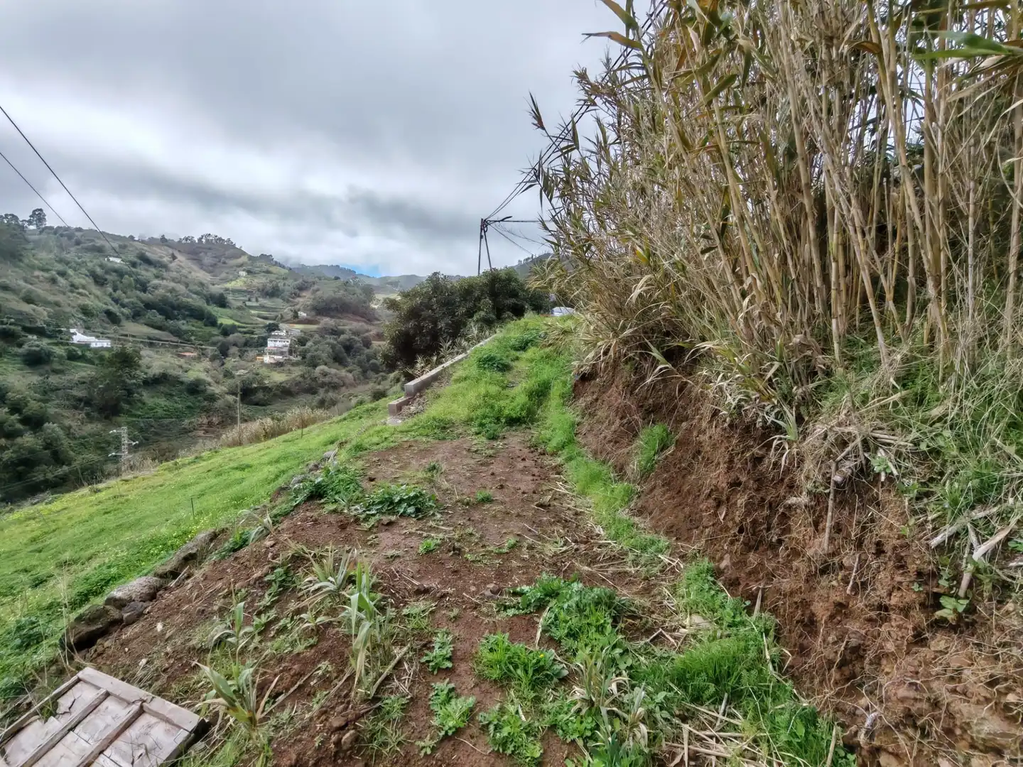 Finca rústica en venta en Santa María de Guía de Gran Canaria con Amueblado