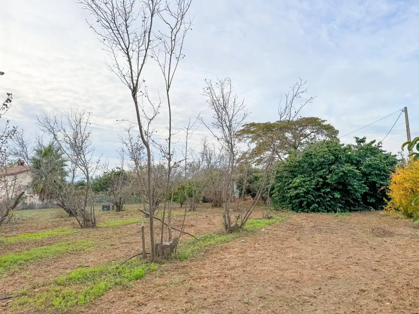 Finca rústica en venda a BURGAR DEL, 40, Riudoms