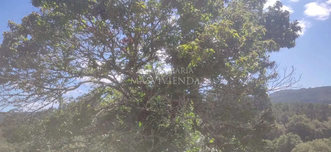 Casa o xalet en venda en Moraña amb Calefacció i Jardí privat