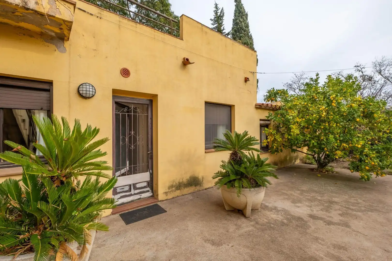 Vista exterior de Casa o chalet en venta en Pals con Calefacción, Jardín privado y Terraza