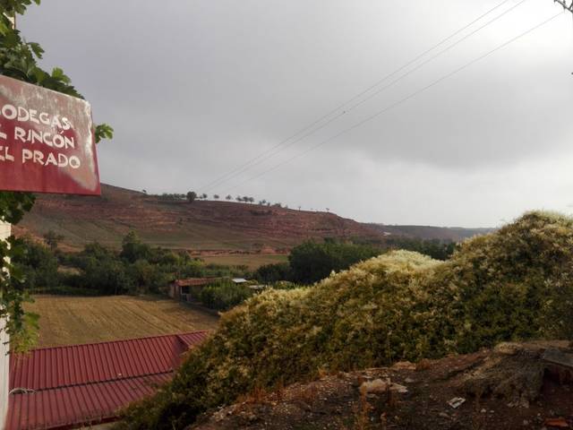Local comercial en Alquiler en Badarán