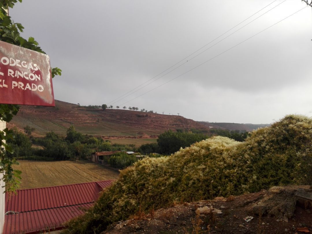 Geschaftsraum miete in Badarán