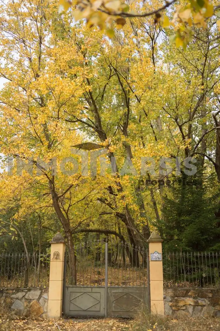 Vista exterior de Casa o xalet en venda en Abrucena amb Jardí privat, Terrassa i Moblat