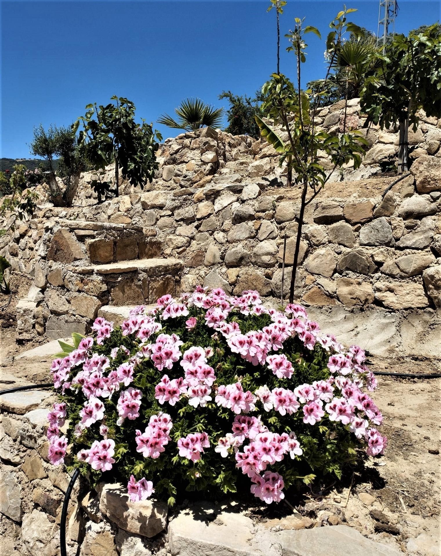 Jardín de Finca rústica en venta en Villanueva de la Concepción con Aire acondicionado y Jardín privado