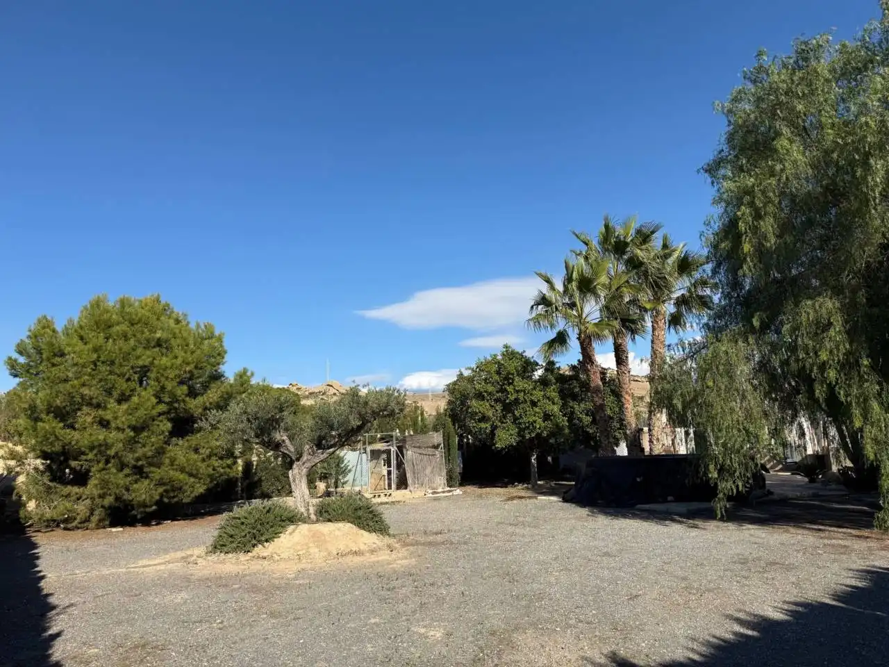 Vista exterior de Finca rústica en venta en Elche / Elx con Terraza y Amueblado