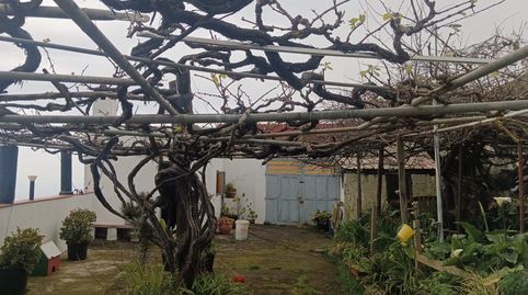 Foto 4 de Casa o chalet en venta en La Vega - El Amparo - Cueva del Viento, Icod de los Vinos