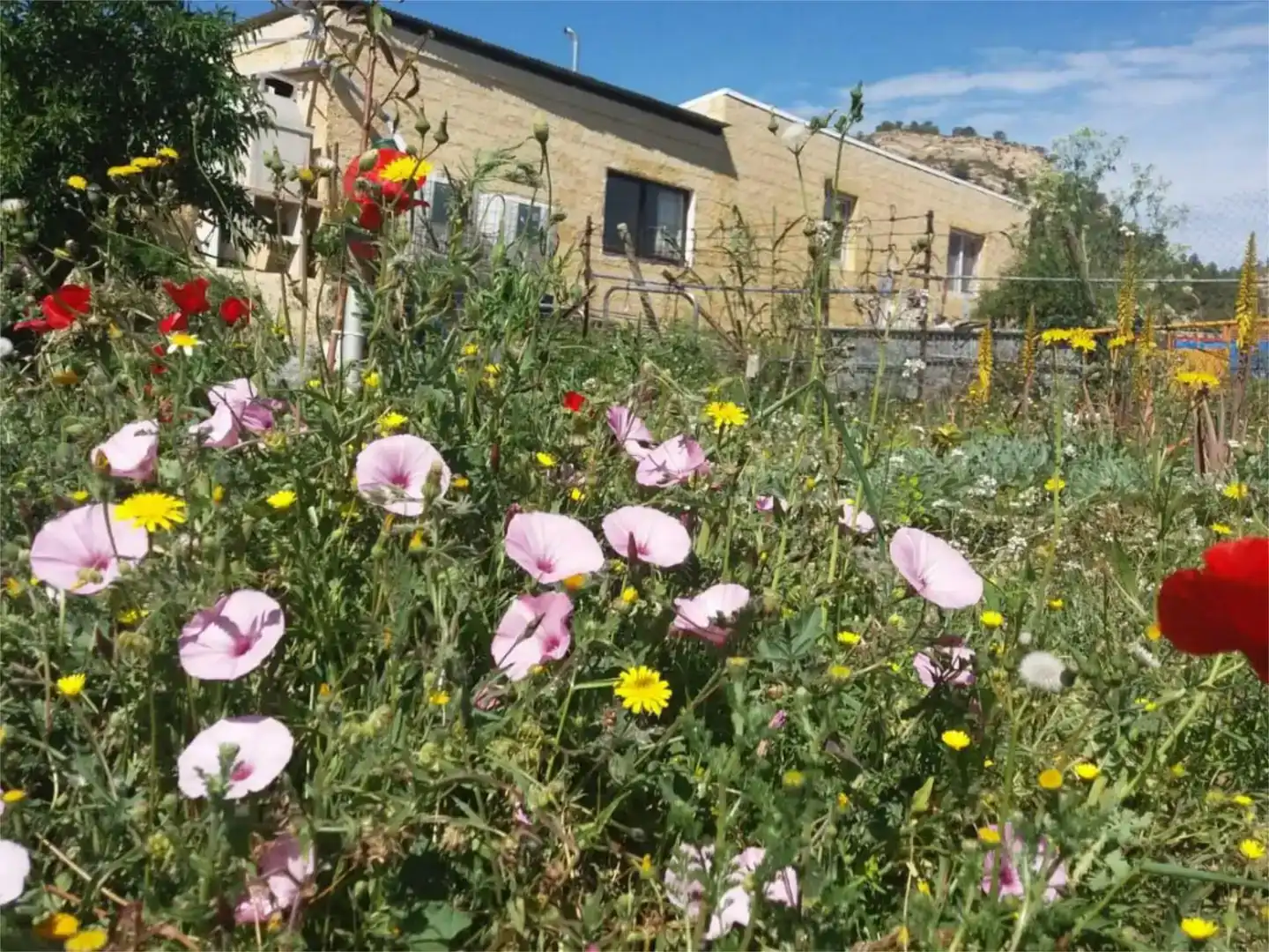 Jardí de Pis en venda en Relleu amb Jardí privat i Moblat
