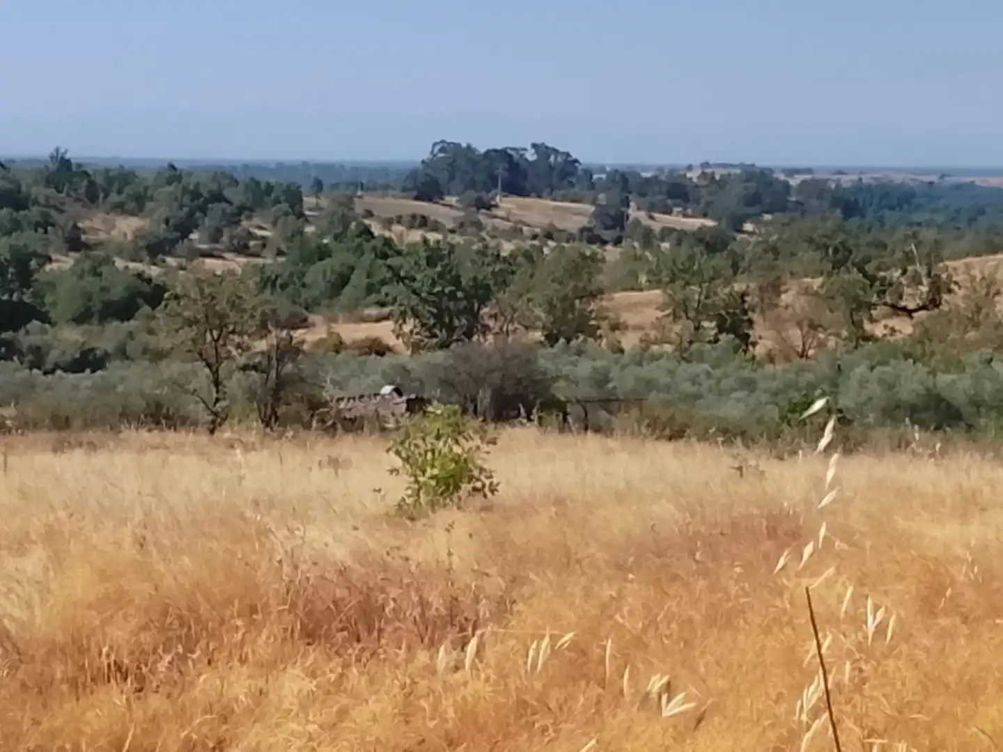 Terreni e lotti in vendita a Villanueva de la Vera, imagen 3
