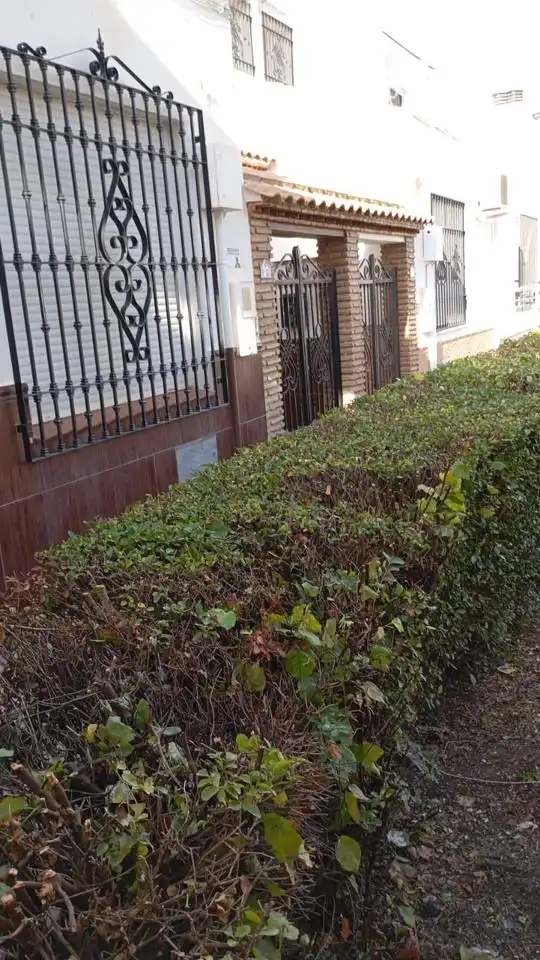 Vista exterior de Casa o xalet en venda en Baza