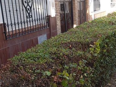 Casa en venda a Urbanización Federico García Lorca