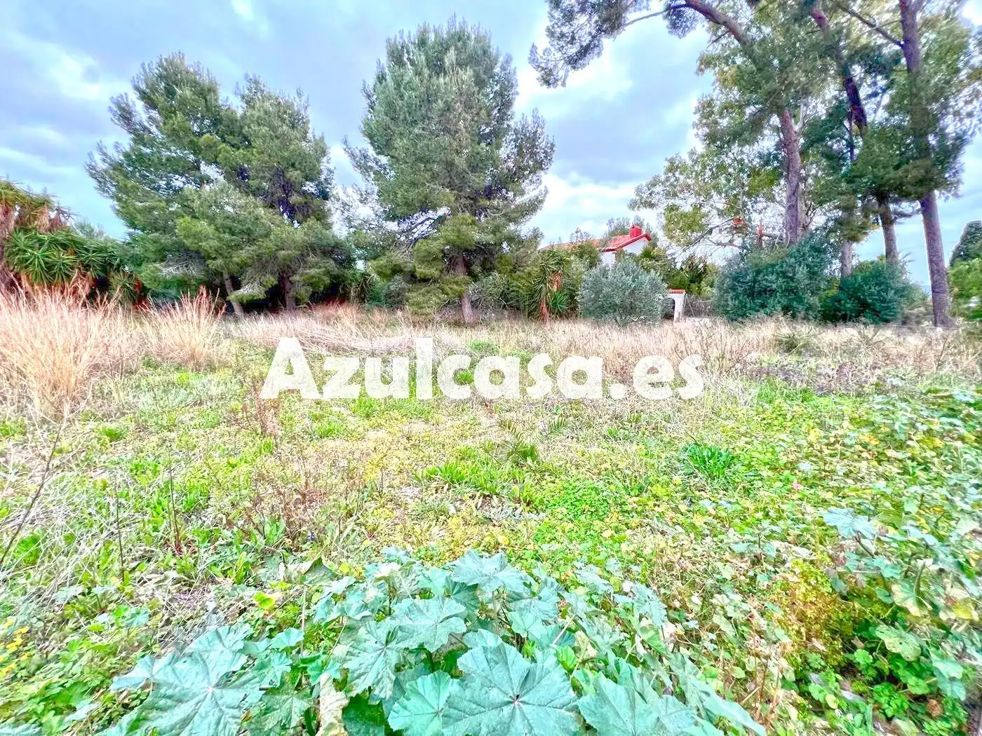 Residential land for sale in Carrer Sant Antoni 45, imagen 57