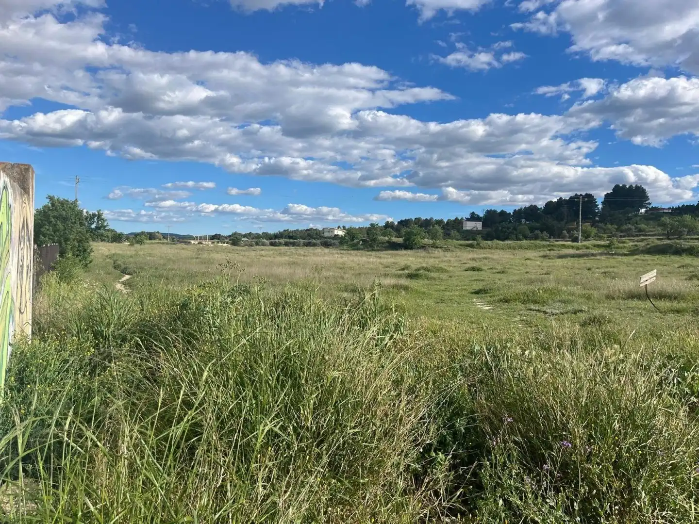 Grundstücke und Bauplätze zum Verkauf in Almansa, imagen 2