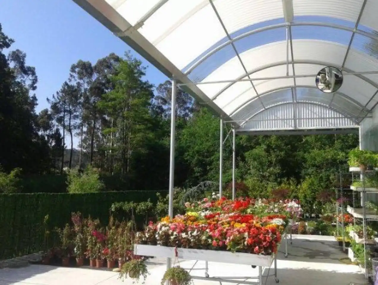 Local comercial en venta en Salceda de Caselas, imagen 13