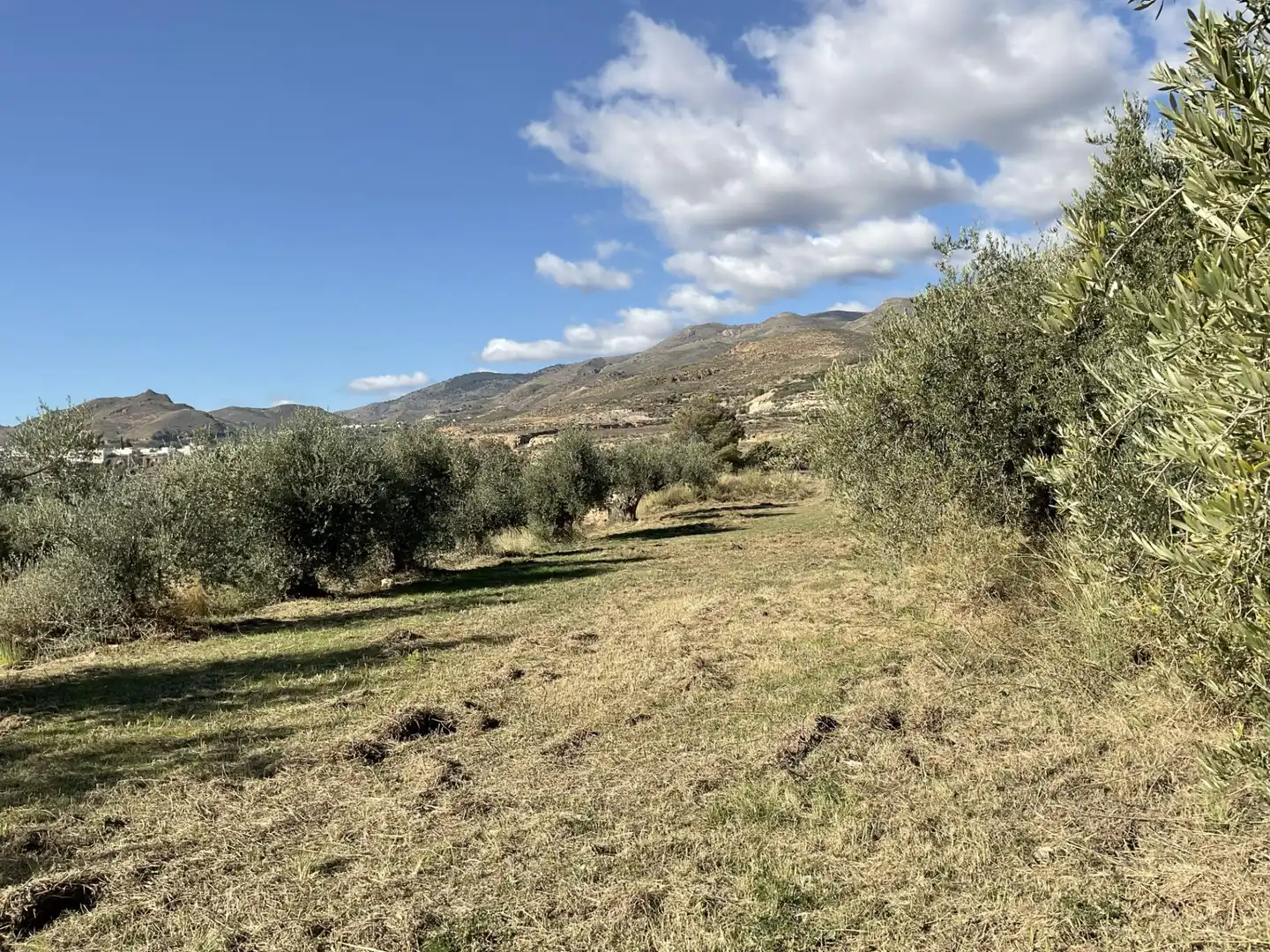 Land for sale in Padules