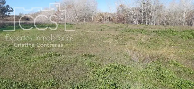 Terreni e lotti in vendita a Almonte ciudad, imagen 5