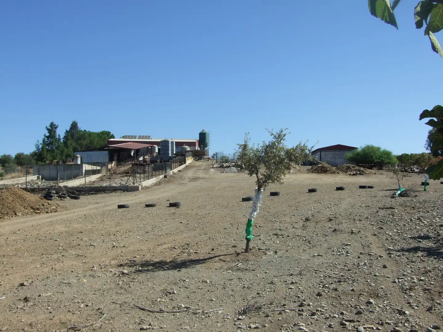 Terreno rustico in vendita a Carretera Fuente del Maestre-Huerta Julián 44, imagen 21