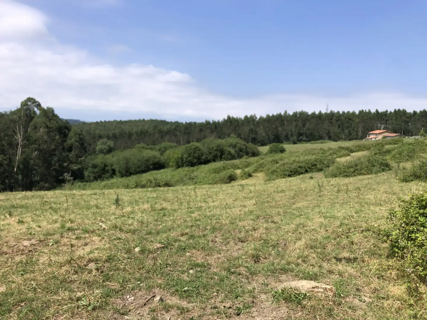 Finca rústica en venta en N/A, -1, Villaescusa (Cantabria)
