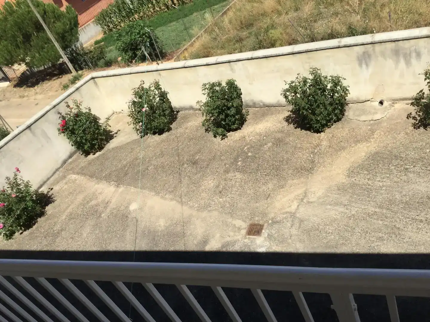 Terraza de Casa o chalet en venta en Morales de Rey con Jardín privado, Trastero y Amueblado