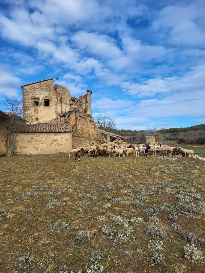 Vista exterior de Terreno en venta en Pinell de Solsonès
