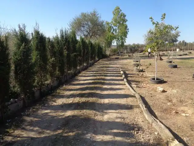 Grundstücke zum Verkauf in Talavera de la Reina